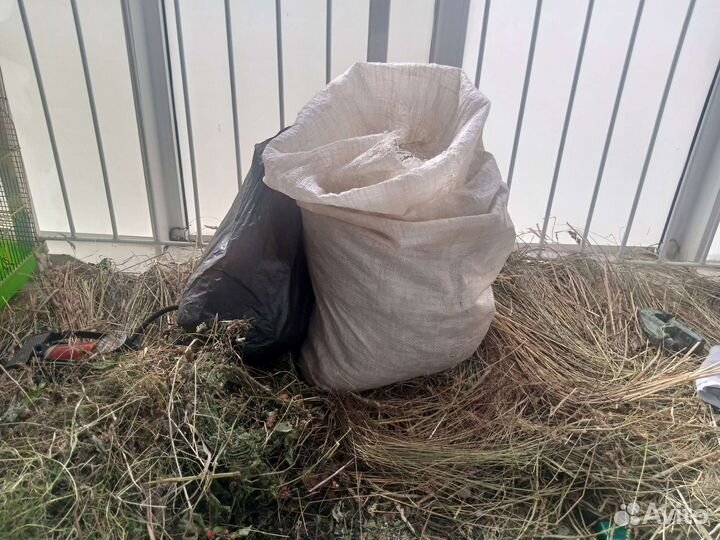 Мох ягель для улиток и др