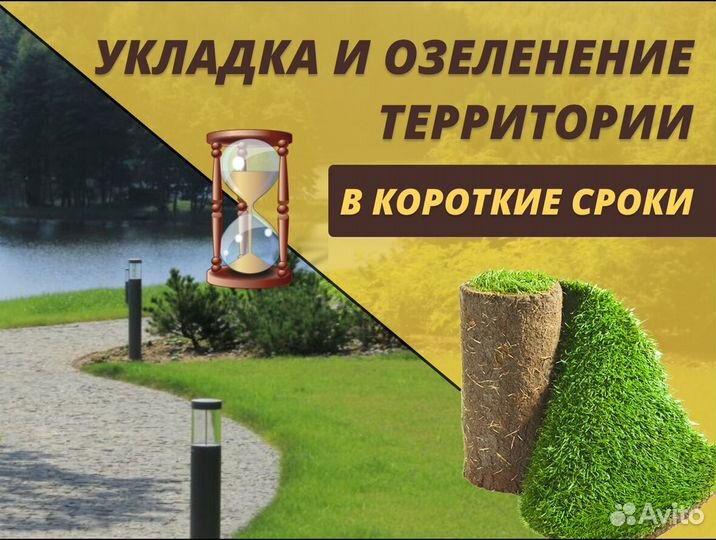 Рулонный газон Стандарт доставка укладка