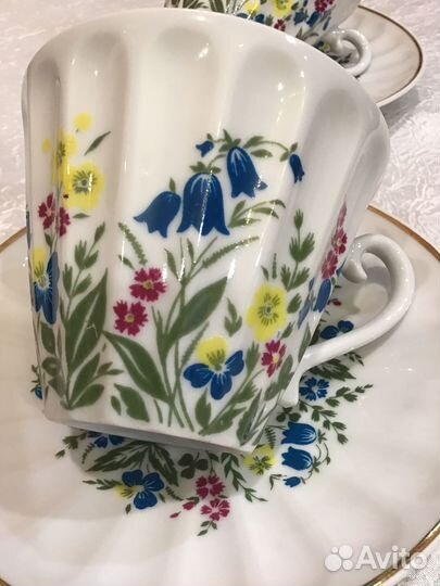 Чайные пары лфз лучистая