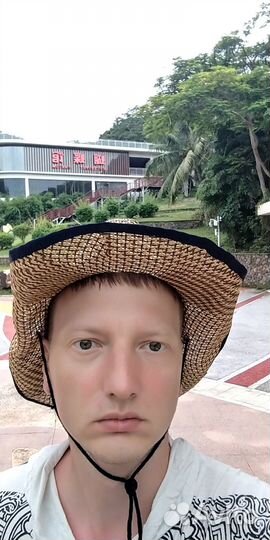 It экономист-аналитик, разработчик.net