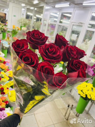 Шикарный бутон роз Эквадор