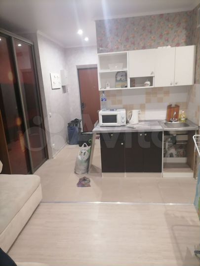 Квартира-студия, 22,4 м², 16/17 эт.