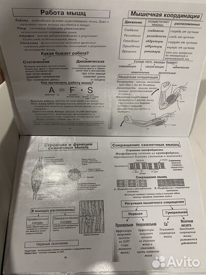 Биология человека.Резанова,Антонова,Резанов