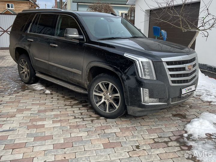 Cadillac Escalade AT, 2020, 55 000 км