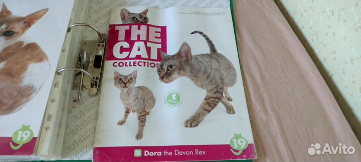 The dog collection журналы