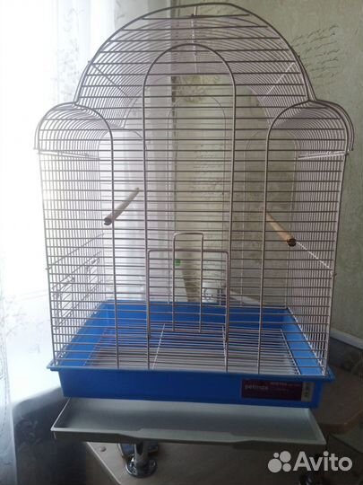 Клетка для птиц