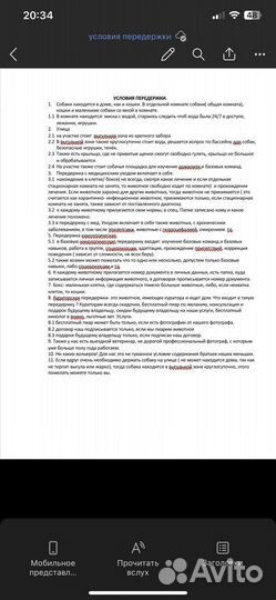 Передержка/ зоогостиница для собак и кошек