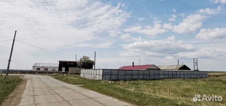 Животноводческая ферма продаю