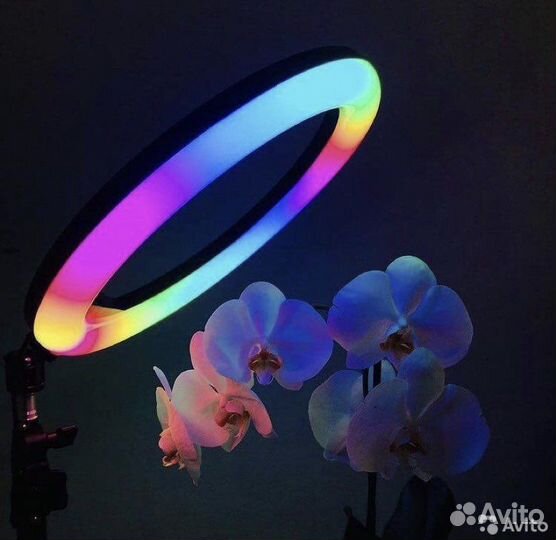 Кольцевая лампа