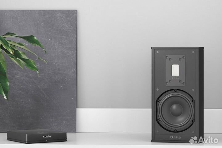 Полочная акустика Piega Premium 301 Wireless AB