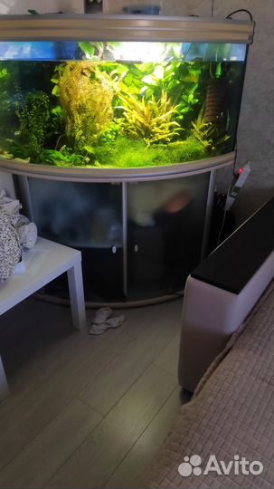 Аквариум Aquatlantis