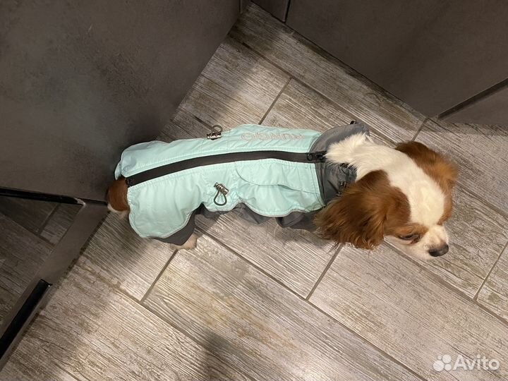 Комбинезон дождевик для собаки