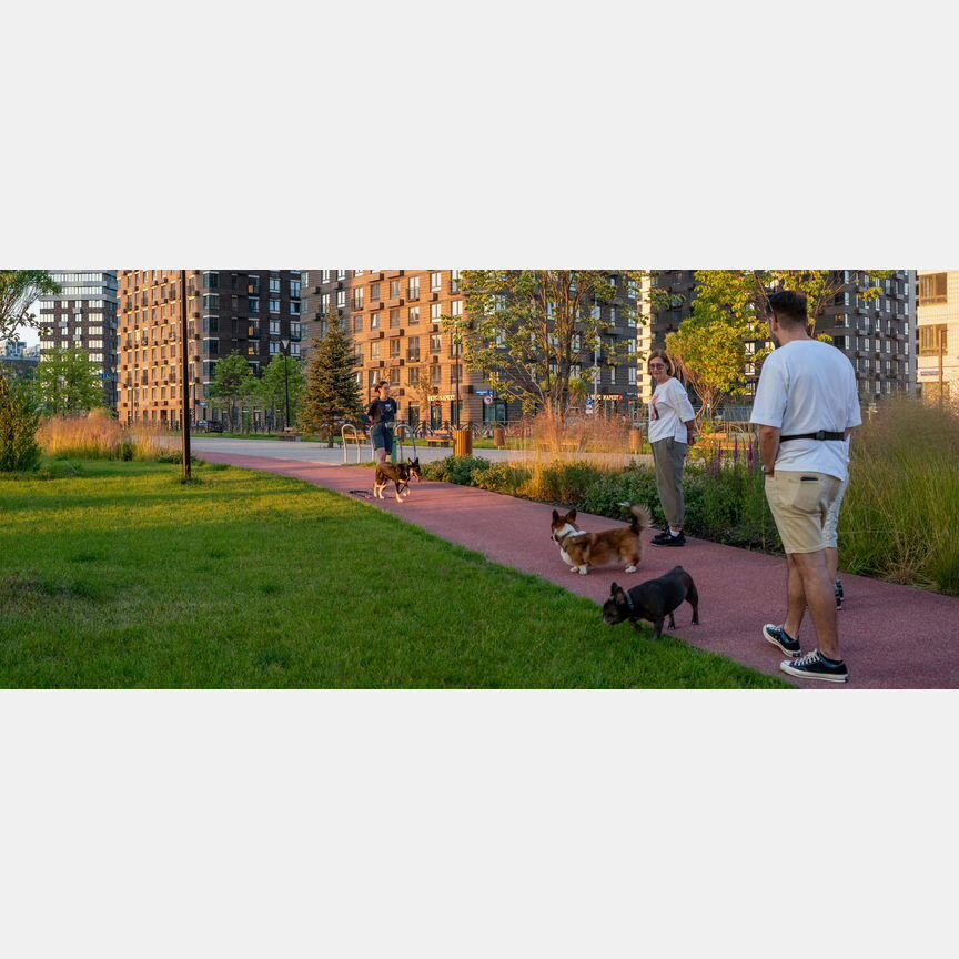 1-к. квартира, 34,1 м², 2/24 эт.