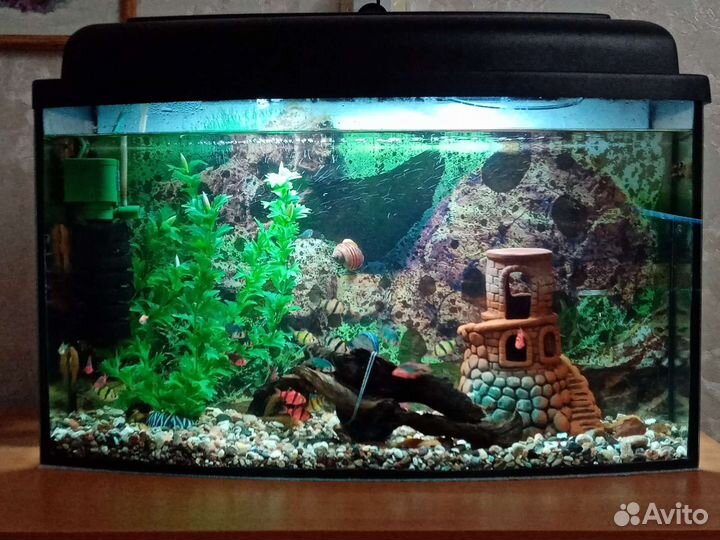 Аквариум 30 литров