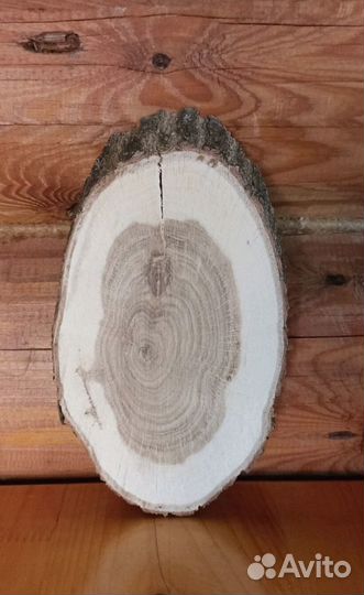 Спил дерева