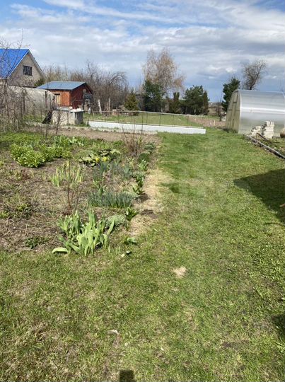 Дом 24 м² на участке 11,8 сот.