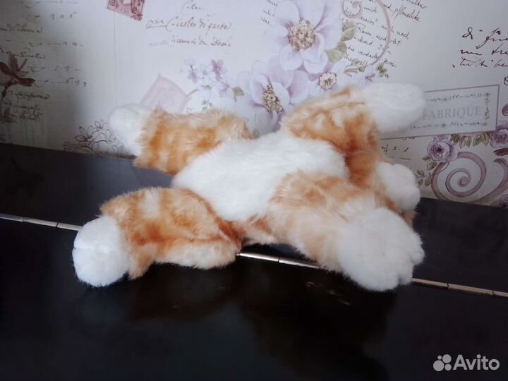 Котик-антистресс