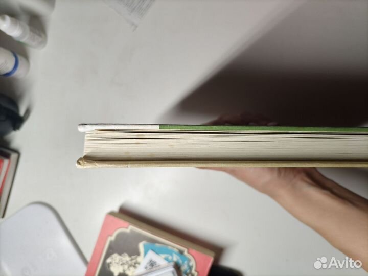 Юкико Мотоя - Брак с другими видами