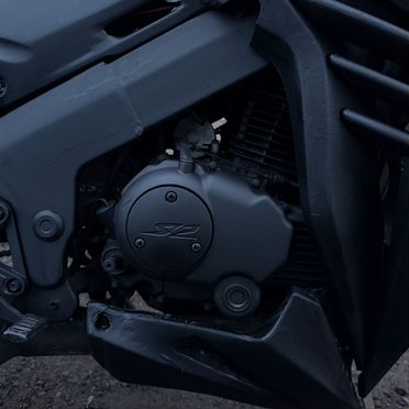 S2 Motors Panther CBR250, 2014, 1 км