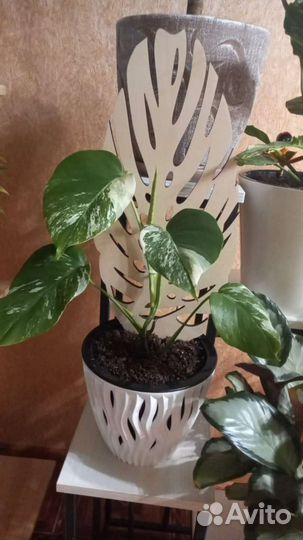 Опора для цветов