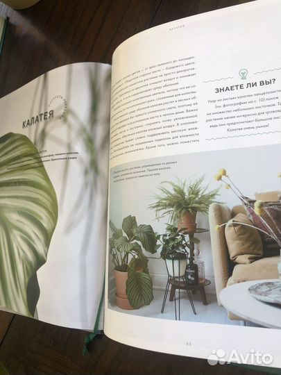 Красивые книги о комнатных растениях