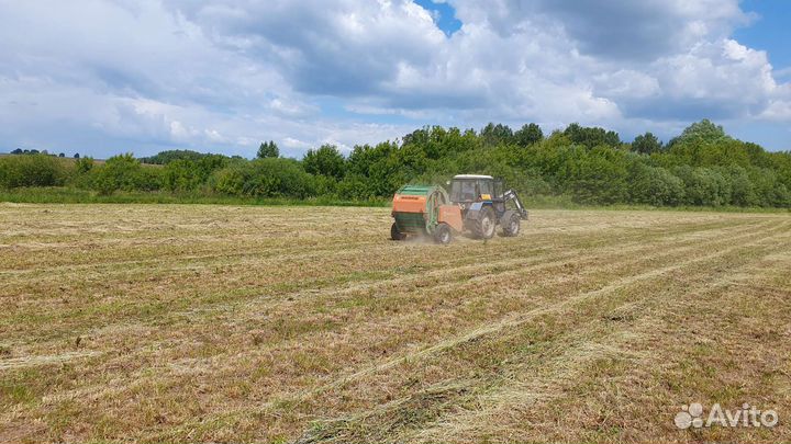 Сено в рулонах 2023