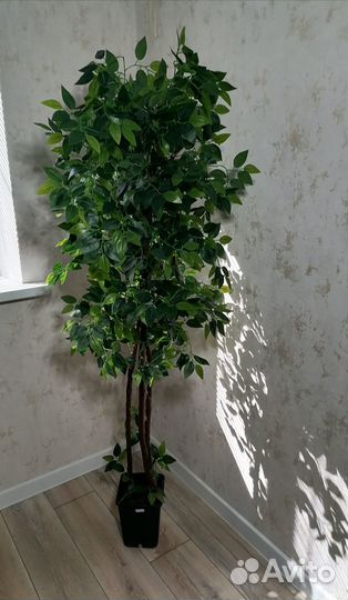 Искусственный фикус