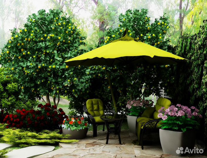 Ландшафтный дизайн/план участка