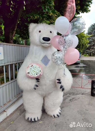 Курьер Белый медведь. Аниматор, поздравление