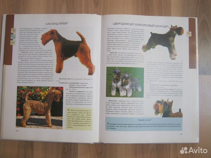 Книга Собака ваш лучший друг