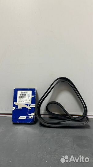 1812162 Ремень поликлиновый DAF