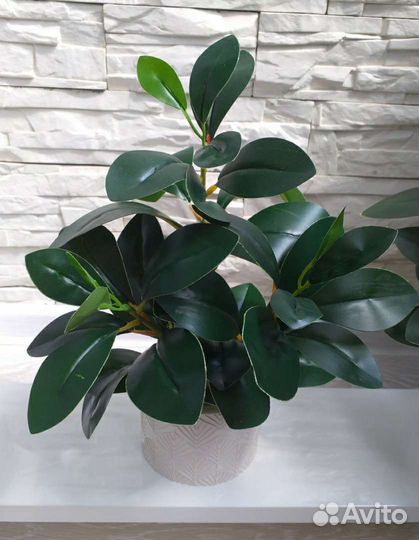 Искуственные растения