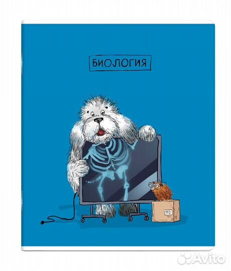 Комплект из 14 предметных тетрадей по 48л. Феникс+