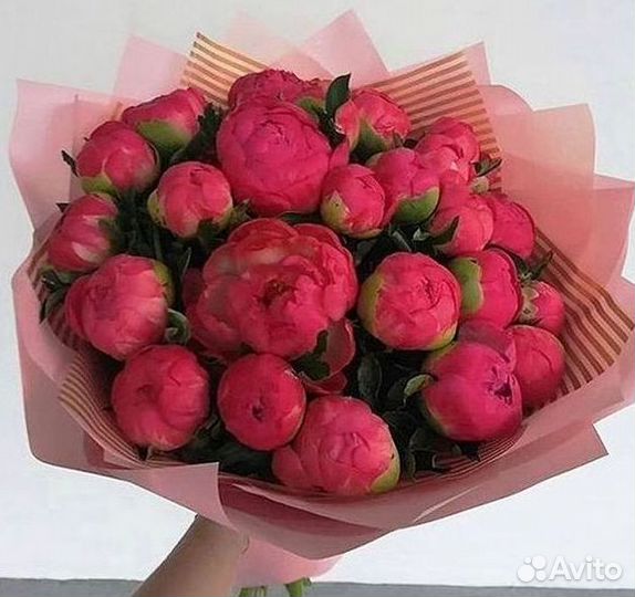 Пионы Цветы Доставка