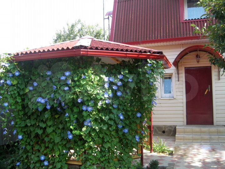 Дом 50 м² на участке 5 сот.