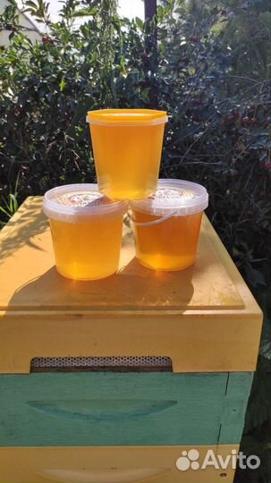 Мёд с Иван Чая кипрейный, липовый,гречки,прополис