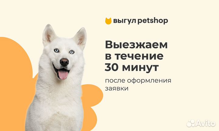 Выгул собак Petshop