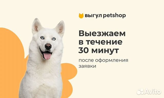 Выгул собак Petshop