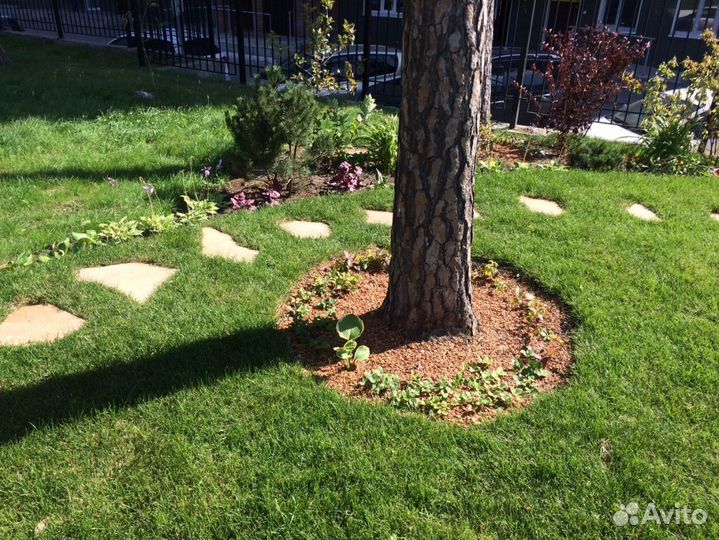 Кора, мульча лиственницы и сосны фракция 10-25 мм