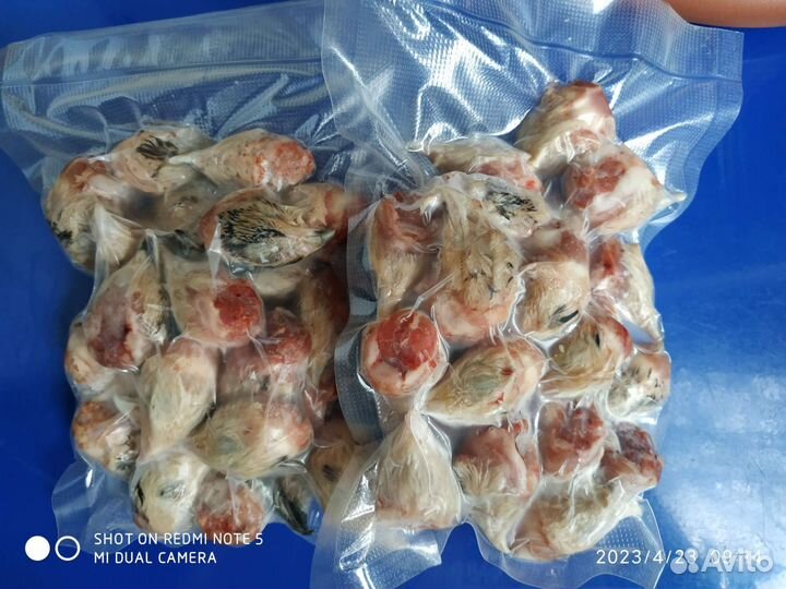 Корм для собак и кошек