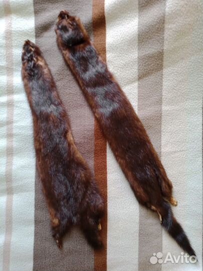 Шкурки норки