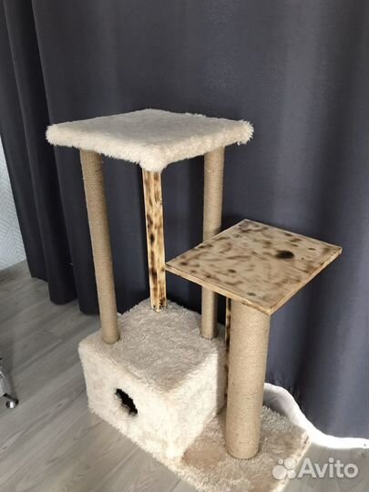 Когтеточка