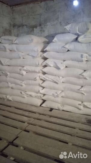 Пекарня производство