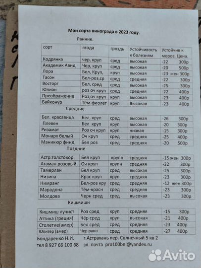 Продаю саженцы винограда