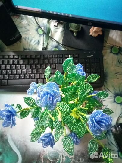 Кустовые розы