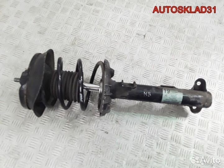 Стойка передняя в сборе Mercedes W203 A2033204130