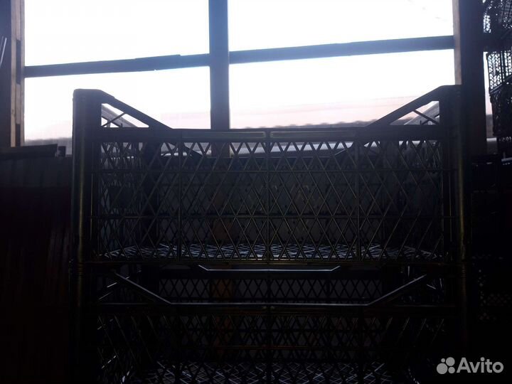 Пластиковые ящики тара для фруктов и овощей