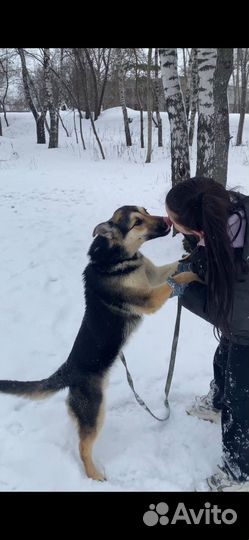 Красотка Джейна бесплатно