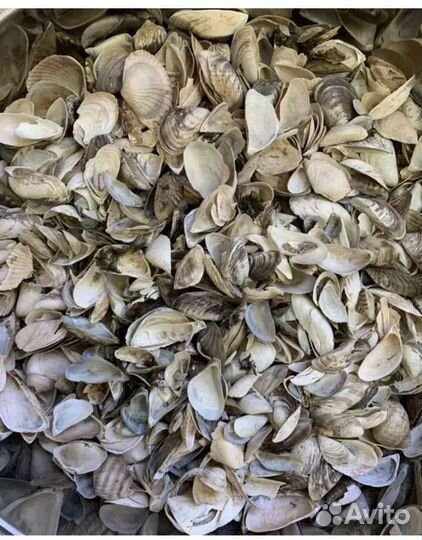 Продам корма