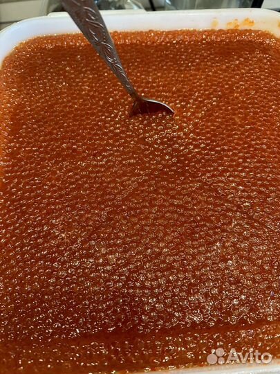 Красная икра 2023